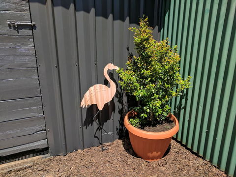 Lilly Pilly House - Kingaroy Accommodation 10