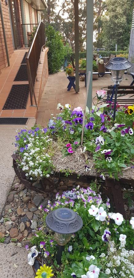 Manitzky Magic -B&B Home With Heart - Kingaroy Accommodation 8