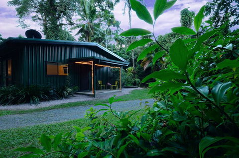 Misty Mountains Rainforest Retreat - Kingaroy Accommodation 7