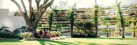 Vine Apartments South Brisbane - Kingaroy Accommodation 19