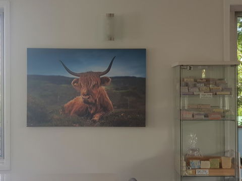 Highland House - Kingaroy Accommodation 4