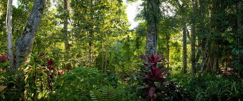 Sharlynn By The River - Kingaroy Accommodation 5