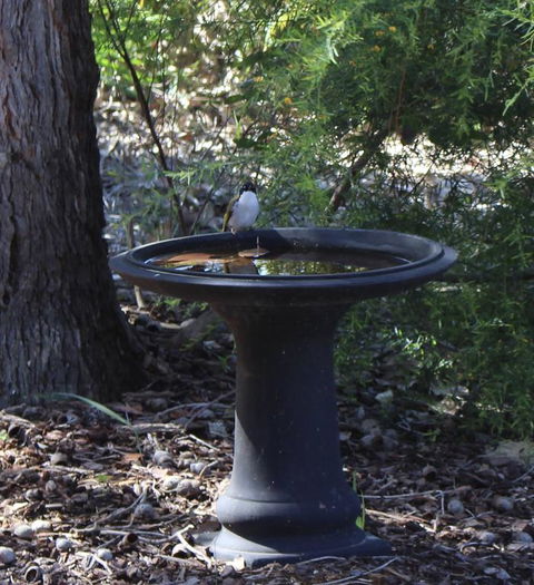 Waterside View - Kingaroy Accommodation 3