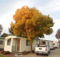 Wodonga Caravan  Cabin Park - Kingaroy Accommodation