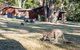 Wonderland Cottages - thumb 1