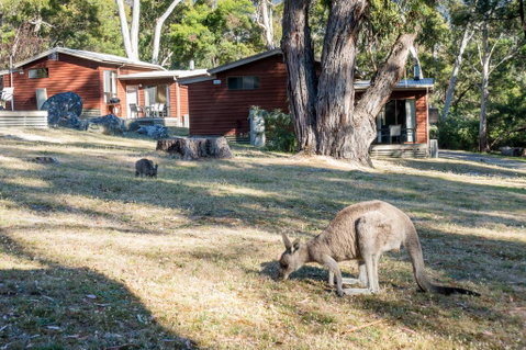 Wonderland Cottages - Kingaroy Accommodation 1