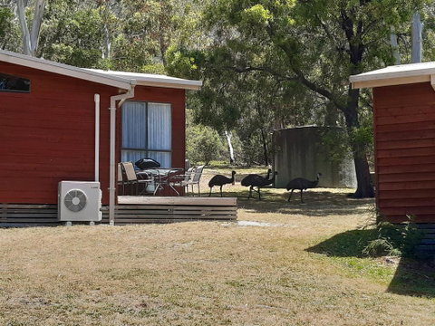 Wonderland Cottages - Kingaroy Accommodation 3