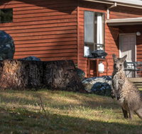 Wonderland Cottages - Kingaroy Accommodation