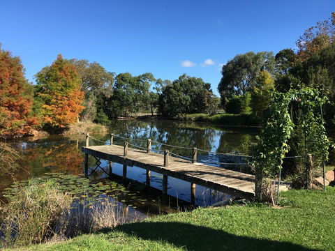 Wonderland Hobby Farm - Kingaroy Accommodation 3