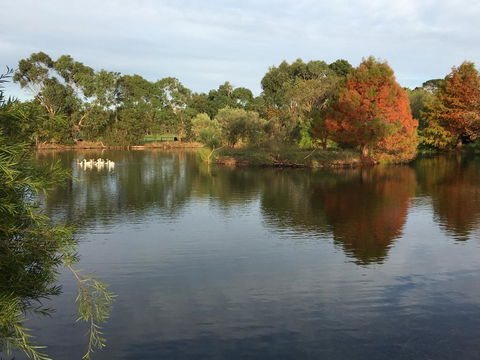 Wonderland Hobby Farm - Kingaroy Accommodation 2