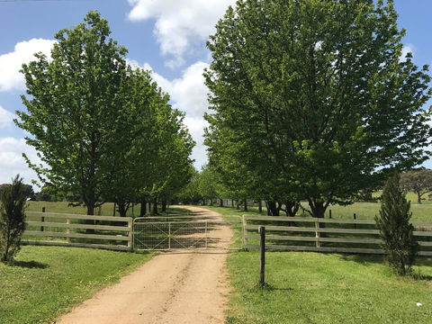 Wonderland Hobby Farm - Kingaroy Accommodation 1
