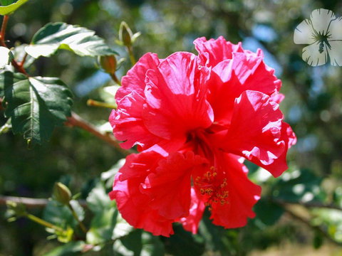 Wongaburra - Kingaroy Accommodation 1