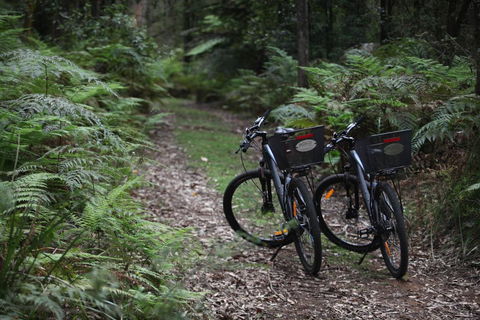 Woodlands Rainforest Retreat - Kingaroy Accommodation 2