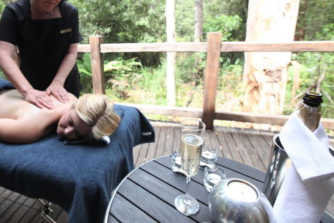 Woodlands Rainforest Retreat - Kingaroy Accommodation 3