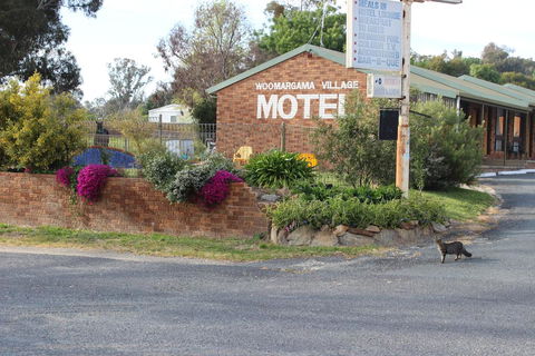 Woomargama Motel - Kingaroy Accommodation 3