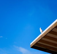 Wye Not Escape - Kingaroy Accommodation