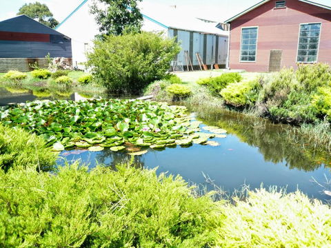 Yarragon Dairy Family Room - Kingaroy Accommodation 1