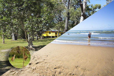 Yellow Cottage - Bush And Beach - Kingaroy Accommodation 0