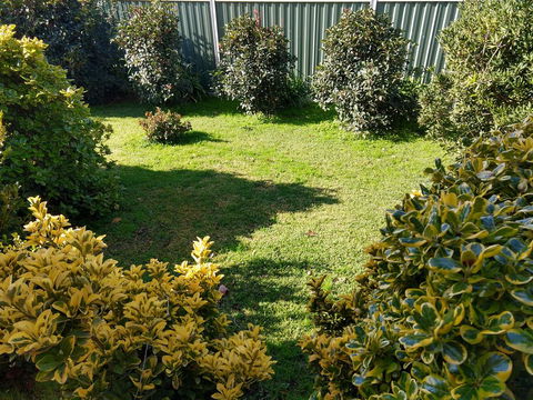 Young Goldrush Motel - Kingaroy Accommodation 3