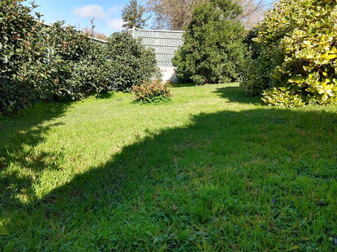 Young Goldrush Motel - Kingaroy Accommodation 2