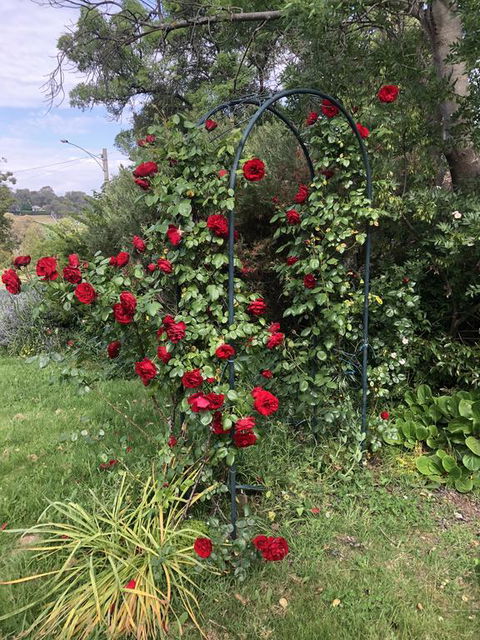 Zen Garde - Kingaroy Accommodation 2