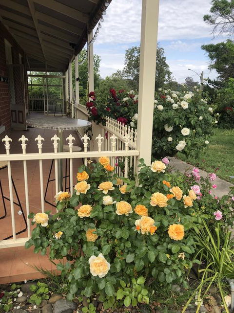 Zen Garde - Kingaroy Accommodation 1