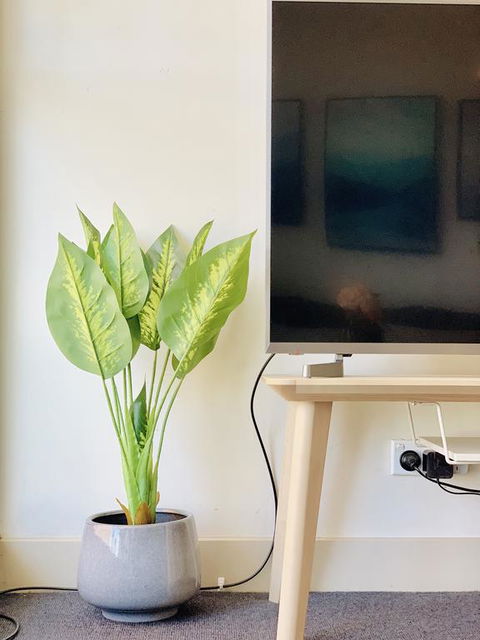 ZEN Homes On Collins - Kingaroy Accommodation 3