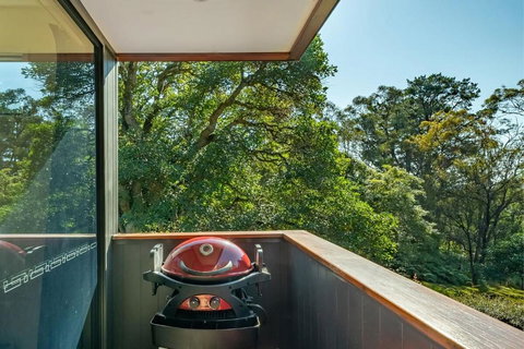 Architecturally Designed Nature Lovers Delight - Kingaroy Accommodation 1