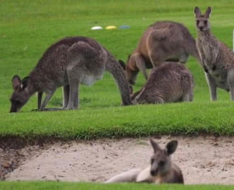 B & B On The Water - Kingaroy Accommodation 3