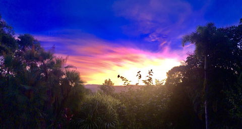 Daintree Manor B&B - Kingaroy Accommodation 3