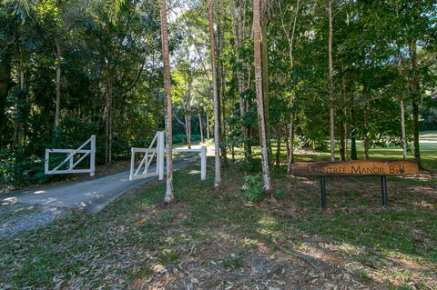 Daintree Manor B&B - Kingaroy Accommodation 18