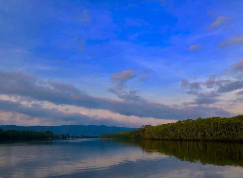 Daintree Manor B&B - Kingaroy Accommodation 9