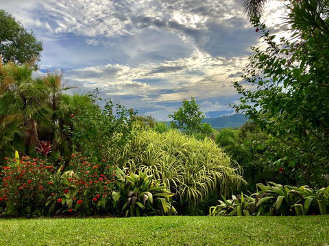 Daintree Manor B&B - Kingaroy Accommodation 2
