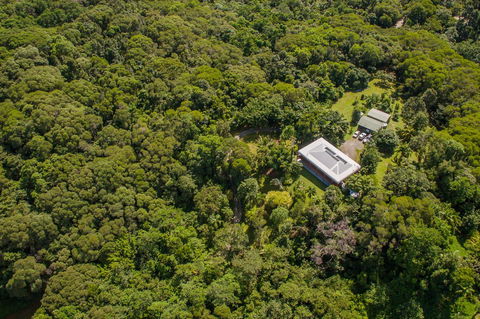 Daintree Manor B&B - Kingaroy Accommodation 14