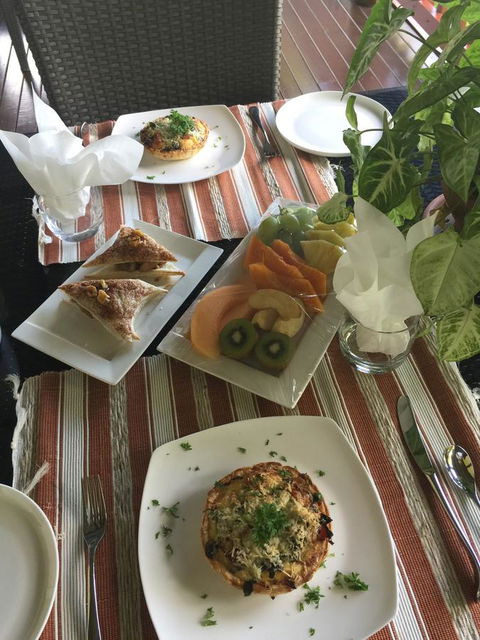 Daintree Manor B&B - Kingaroy Accommodation 17