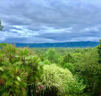 Daintree Manor BB - Kingaroy Accommodation