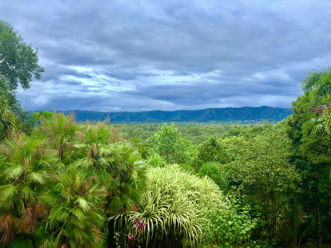 Daintree Manor B&B - Kingaroy Accommodation 0