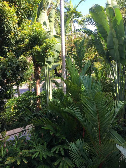 Port Douglas Apartments - Adults Only Oasis - Kingaroy Accommodation 1