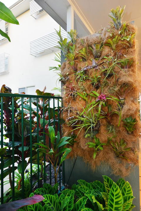 Port Douglas Apartments - Adults Only Oasis - Kingaroy Accommodation 27