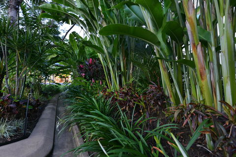 Port Douglas Apartments - Adults Only Oasis - Kingaroy Accommodation 9