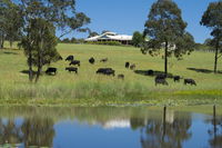 Book Nabiac Accommodation Vacations Kingaroy Accommodation Kingaroy Accommodation