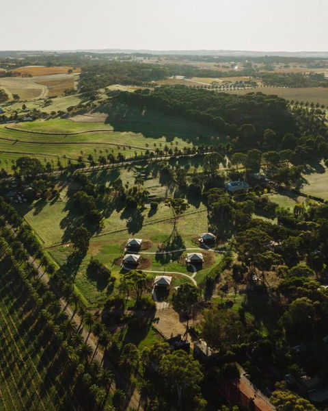 CANVS By CABN Seppeltsfield Barossa - Kingaroy Accommodation 1