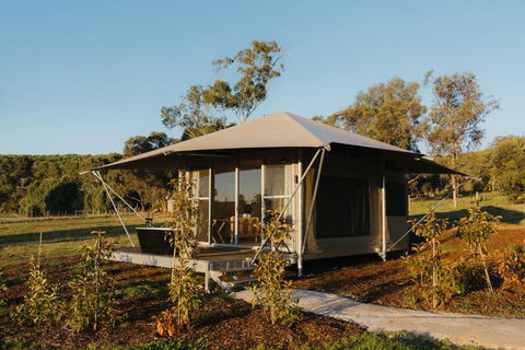 CANVS By CABN Seppeltsfield Barossa - Kingaroy Accommodation 3