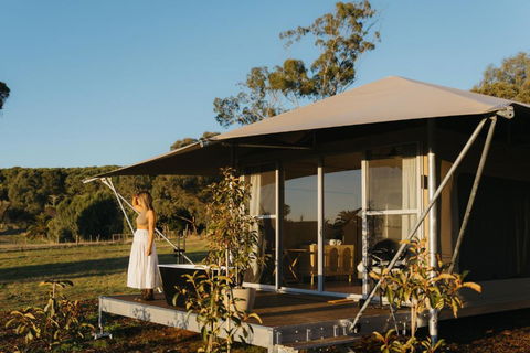 CANVS By CABN Seppeltsfield Barossa - Kingaroy Accommodation 4