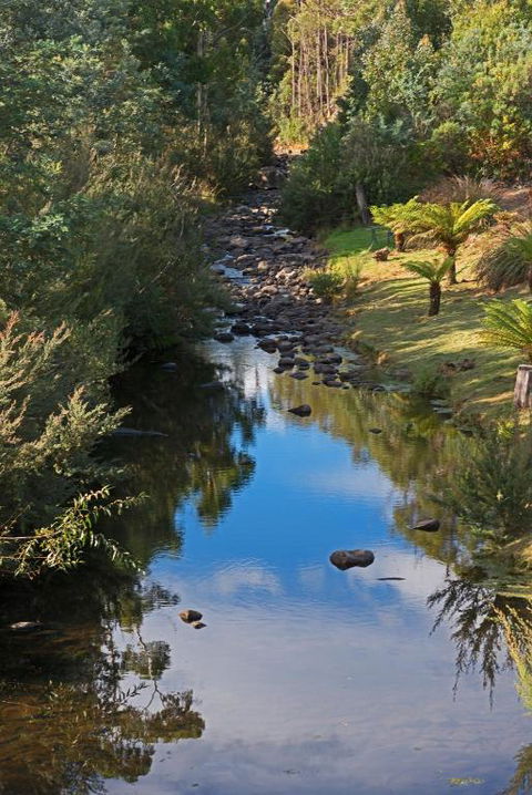 CRABTREE RIVERFRONT COTTAGES Beautiful Peaceful Location RELAX & ENJOY - Kingaroy Accommodation 4