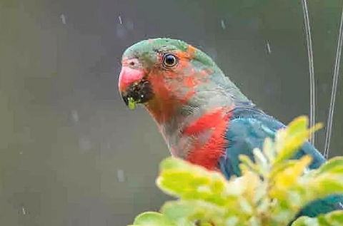 Crystal Cottage Retreat- Escape To The Hinterland! - Kingaroy Accommodation 4