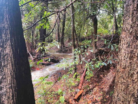 Crystal Cottage Retreat- Escape To The Hinterland! - Kingaroy Accommodation 3