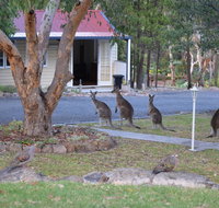 31 The Rocks - Kingaroy Accommodation