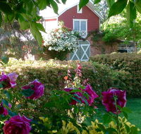 A Country Barn Retreat - Kingaroy Accommodation