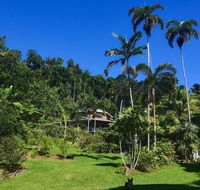 A Daintree Garden - Kingaroy Accommodation